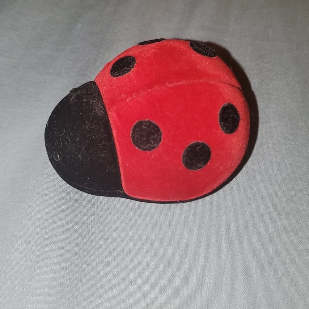 Lady Bug Necklace